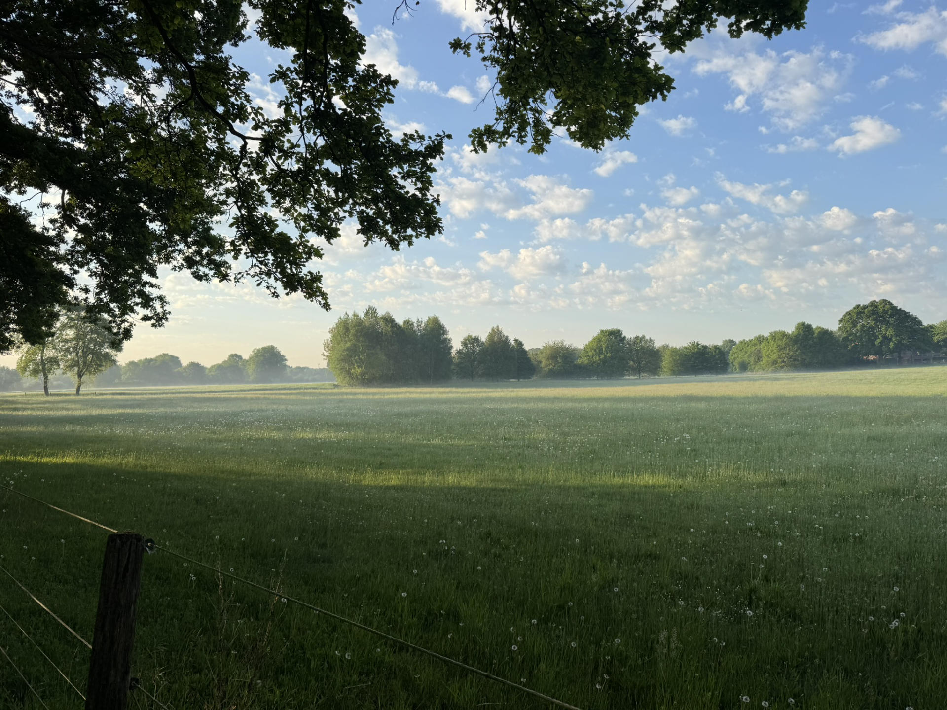 Telgter Küchenkalender #1